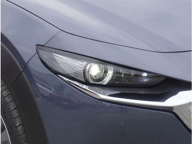 ALH機能付きLEDヘッドライト。対向車にまぶしい思いをさせずに自分は明るい視界を確保できます。
