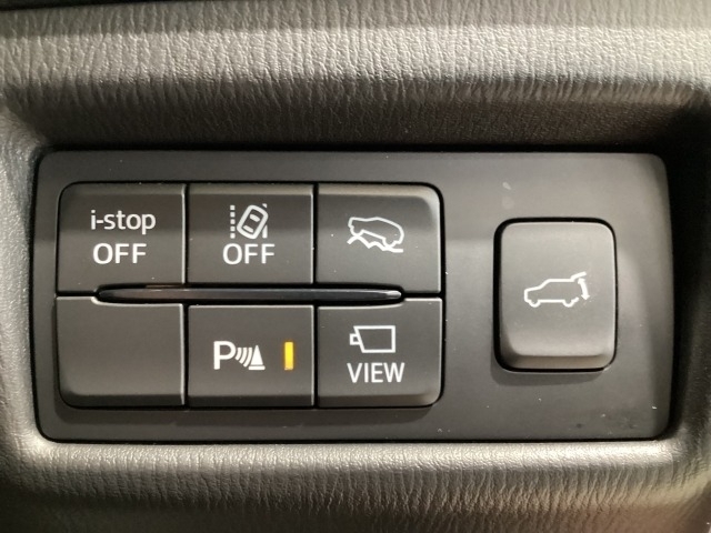 TCS（トラクションコントロールシステム）＆DSC（横滑り防止機構）やBSM（隣車線上の側・後方からの車両接近を通知）、LDWS（車線逸脱警報システム）で安全運転をサポート！