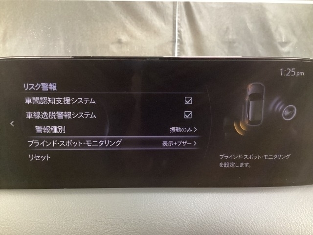 TCS（トラクションコントロールシステム）＆DSC（横滑り防止機構）やBSM（隣車線上の側・後方からの車両接近を通知）、LDWS（車線逸脱警報システム）で安全運転をサポート！