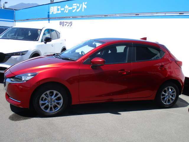 ドアバイザーも装着！