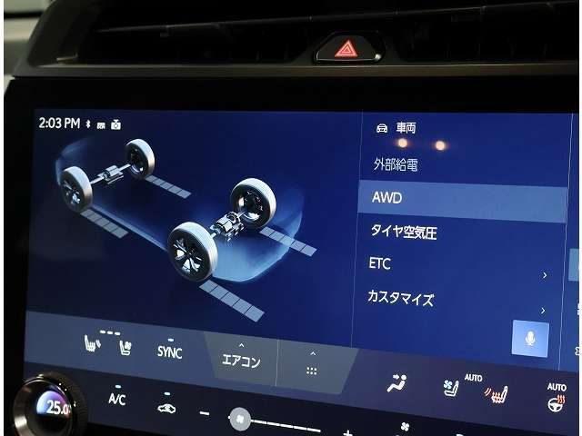 初めての道やレジャーに大活躍です。