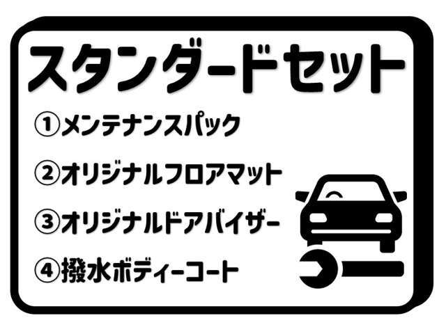 基本的なドアバイザー・フロアマットと3年分のメンテナンスパックのセットです！