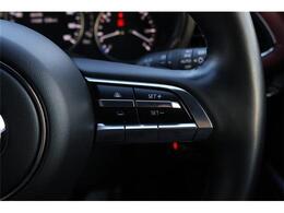 クルーズコントロール付きで高速でもらくらく！