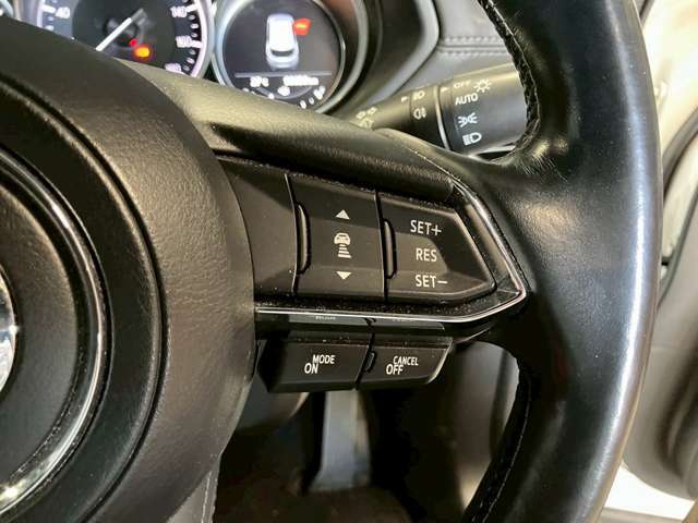 【レーダークルーズコントロール】ミリ波レーダーが車間距離を測って設定車速内で車速に比例した車間距離を保ちながら追従走行する装置で近づきすぎたときは自動でブレーキし、離れすぎたときには自動増速もする。