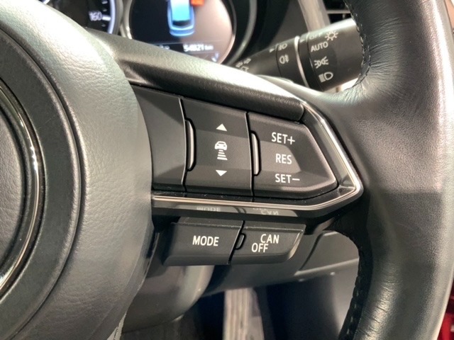 クルーズコントロールを装備しています。高速道路などで一定の速度で走ってくれるので運転が楽ですよ！速度を設定できますので、スピードの出しすぎにも注意できます。