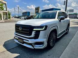 マットプロテクションフィルムラッピング　各所塗分塗装　ローダウン　22インチ社外ホイール　サンルーフ　全方位カメラ　リアエンターシステム　クールBOX　プロテクションコーティング　キャリパーカバー