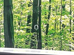 【ヘッドアップディスプレイ】現在の速度や走行情報をデジタル表示で運転席前方のガラスに投影！運転中、目線をずらさず必要な情報を確認できるのでとっても便利で安心！