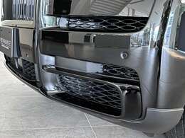 ブラックディテイリング＆ エアロインサート装備