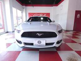 ディーラー車350台限定車となります！