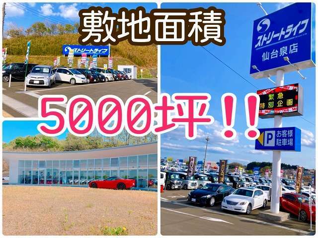 4号線バイパス沿いの「「青い大きな看板」」が目印！広大な展示場でお気に入りの1台を一緒に見つけましょう♪