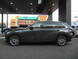 ゆとりある室内空間を実現した長いキャビンを、ジュエリーライクなブライトモールと、有機的な曲線で構成されたボディで構成することで、優雅なサイドビューを演出しています。