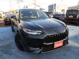 エンブレムブラック