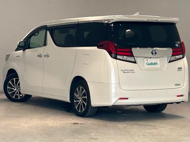 お車を左後ろから見るとこのような感じになります。テールランプやドアバイザー等装備品を確認できます。