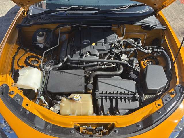 クリーニング済み