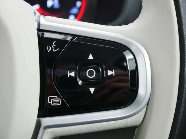ステアリングスイッチは右側がメーター内ディスプレイの切り替えと操作、それから音声入力開始ボタン。左はクルーズコントロールの設定ができます。
