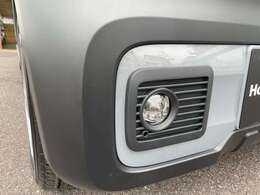 オプションフォグライト付き