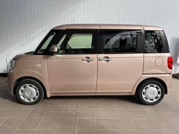 左横からの写真です