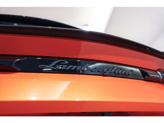 Rear Lamborghini Logo in Matt Black