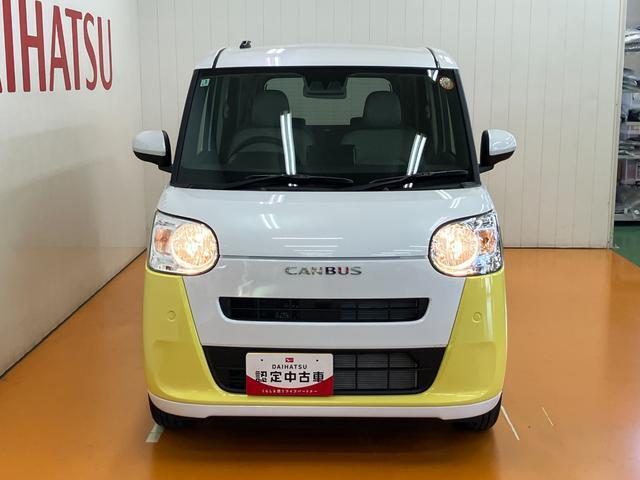 可愛らしいフロントマスク
