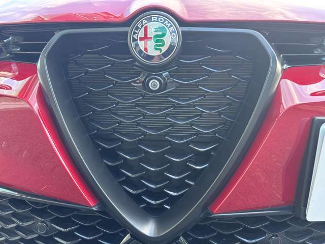 フロントグリルのトライローブがAlfa Romeoの伝統を継承、走りのDNAを受け継ぐSUVであることを強調。大型エアインテークはデザイン上の個性を引き立てると共に、エンジンの冷却効果にも大きく貢献。