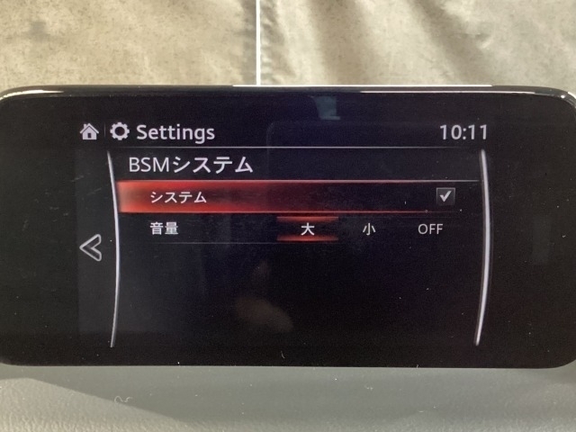 TCS（トラクションコントロールシステム）＆DSC（横滑り防止機構）やBSM（隣車線上の側・後方からの車両接近を通知）、LDWS（車線逸脱警報システム）で安全運転をサポート！