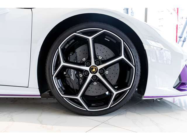 【SKY GROUP】輸入車専門で17ブランドを取り扱う正規ディーラーです。スーパーカーを得意とし、ブガッティやパガーニ、ピニンファリーナ、ジンガーの正規ディーラーも運営しております。