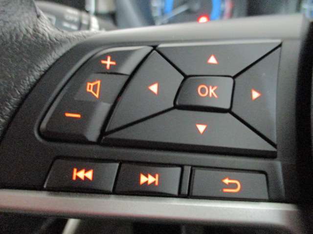 左側、車両情報切替、オーディオ操作スイッチ！