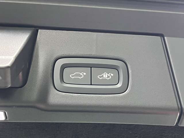 リアゲートにはパワーテールゲートのスイッチがあります　ワンタッチで開閉可能な為、手に荷物を抱えているときでも安心です。