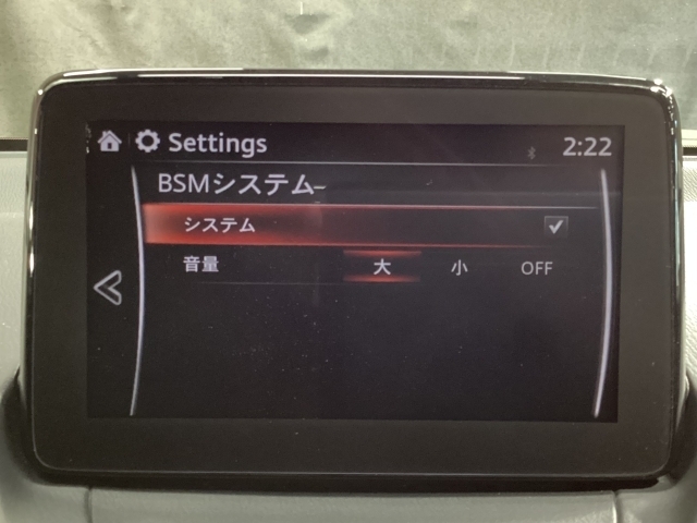 TCS（トラクションコントロールシステム）＆DSC（横滑り防止機構）やBSM（隣車線上の側・後方からの車両接近を通知）、LDWS（車線逸脱警報システム）で安全運転をサポート！