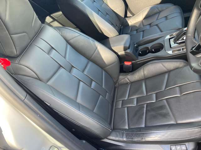 ナッパレザーシート！