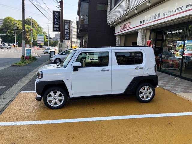 写真は人気のシャイニングパールです！