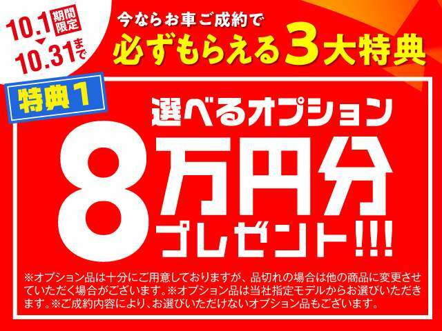 【10月限定】お車ご成約キャンペーン実施中！お車のご成約で8万円分オプションプレゼント！