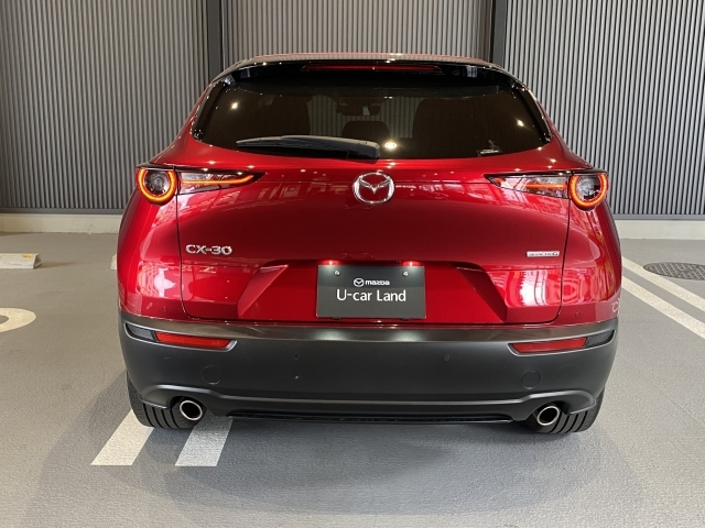 CX-30のエクステリアデザインは、小さなさざ波が周囲と連動しながら大きなうねりとなって拡散していく様子は、さながら光のアートです。