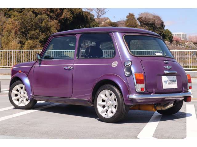 600台限定車は決まってますね