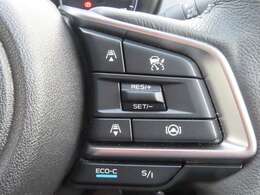 追従式クルーズコントロールを装備！長距離運転が捗ります！