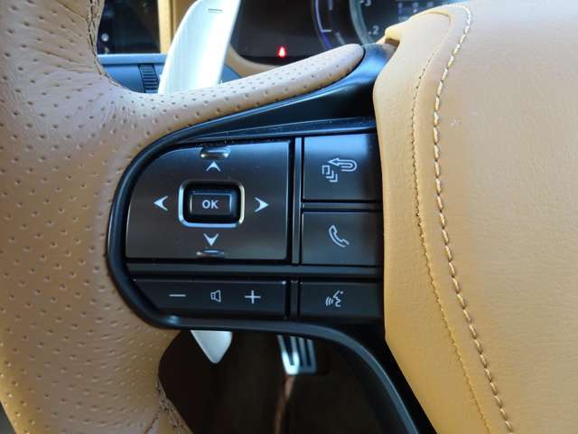 《各種スイッチ類》