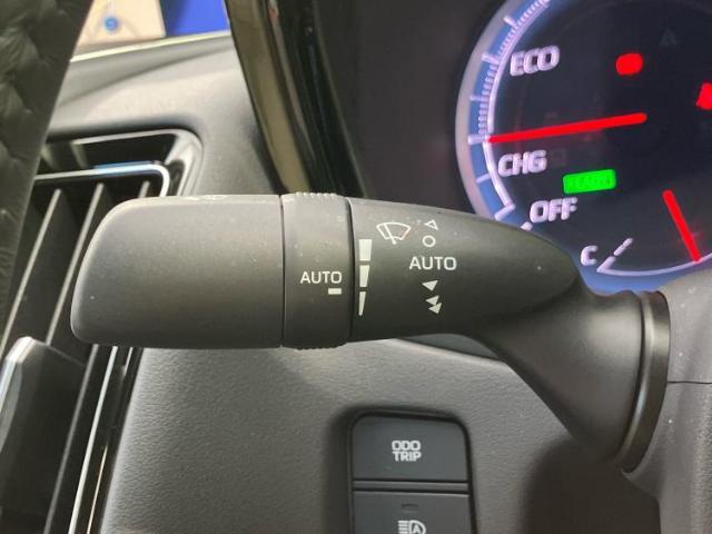国産車から輸入車まで多様なお客様のニーズのお応えできるように、全国規模で豊富な在庫展開！車のことならWECARSへ！
