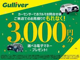 問い合わせ＆ご来店で電子マネーギフト3,000円分プレゼント！