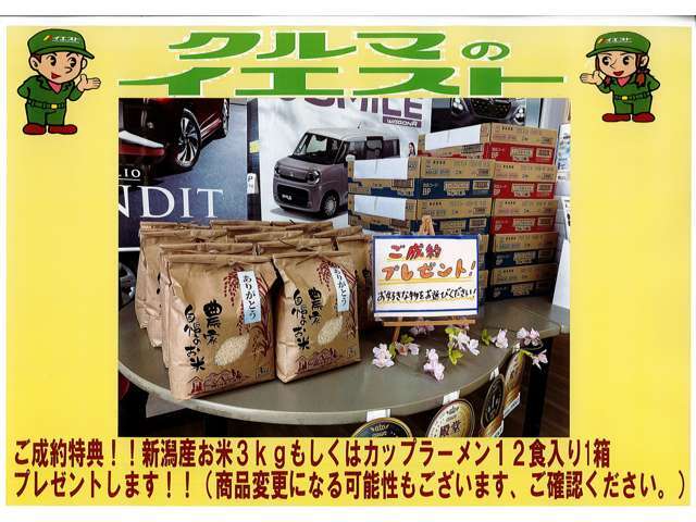 お車の販売はもちろん、自社整備、自社鈑金修理、ガソリンスタンド、保険も取り扱っております。お車の事はイエストにお任せください。