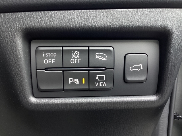 オフロードトラクションアシストつき！DSC（横滑り防止機構）やBSM（隣車線上の側・後方からの車両接近を通知）、LDWS（車線逸脱警報システム）で安全運転をサポート！