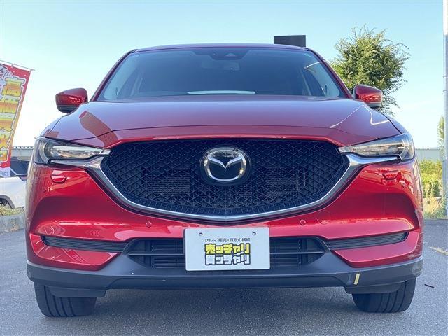 【カーセンサー】カーセン・カーセンサー・かーせん・かーせんさーのお車探しは当店にお任せください！北陸/福井/石川/岐阜/愛知/滋賀/坂井/越前/鯖江/敦賀/大野/小浜/あわら/勝山/丹生郡越前町/