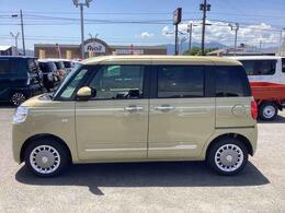 左横からの画像です