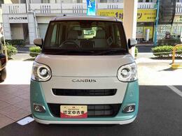 前からの画像です