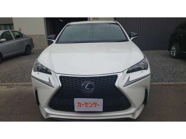 ★全車美装済み★
