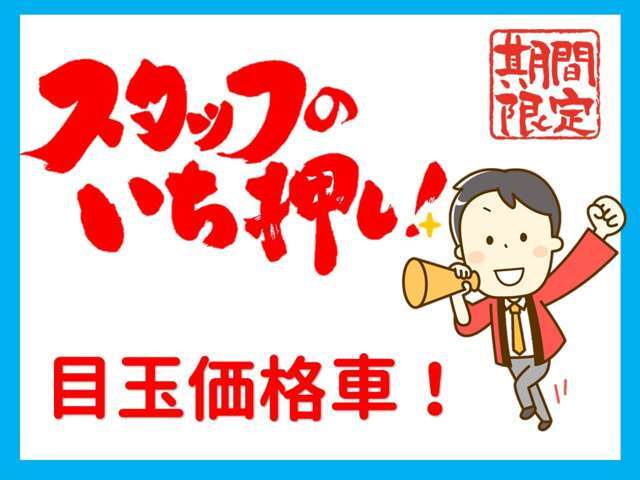 11月30日までの期間限定価格！！