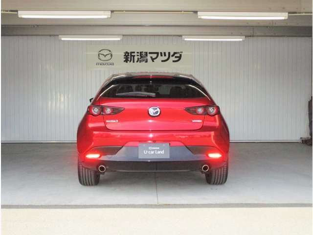 納車前にしっかりと車両のクリーンアップを行います。小傷の修理や塗装につきましても、お気軽にお問い合わせください。