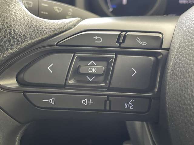 【運転席操作部】快適なドライブを楽しむための機能が装備されています！運転席から触れるので、使いやすいです！除菌プランいれていただくと、さらに清潔で安心していただけます！
