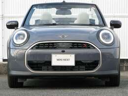 ◆コッパー・グレー◆