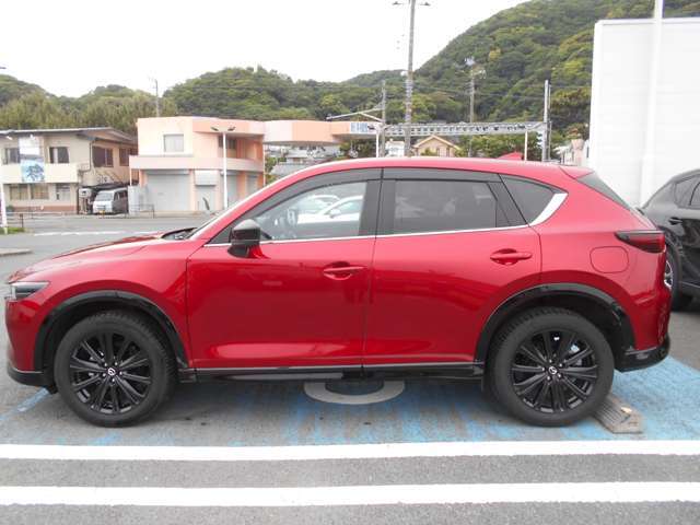 ご不明な点やご来店希望等、電話0463-61-0976までご連絡ください。