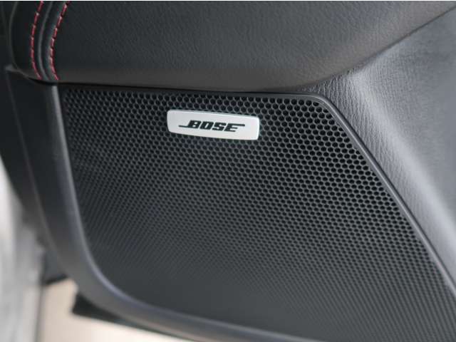 BOSEサウンドシステム（AUDIOPILOT2+Center Point2）+10スピーカー